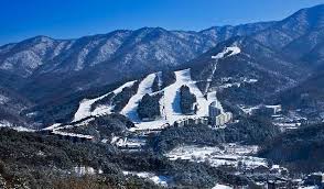 Bears Town ski resort in South Korea