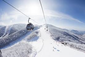High1 Resort ski resort in Jeongseon, South Korea - panoramic view of ski slopes and mountain facilities
