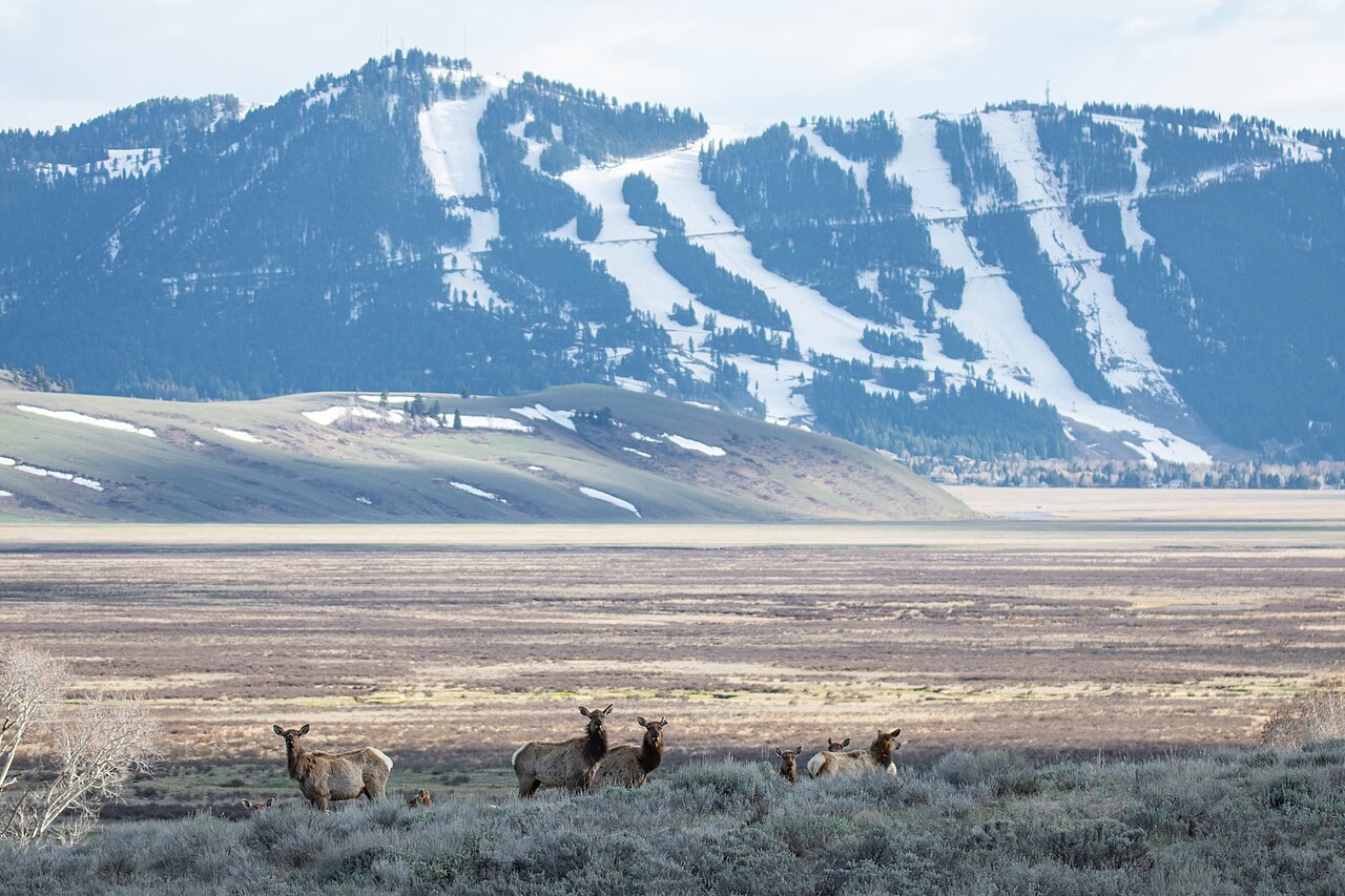 Elk Mountain ski resort in USA