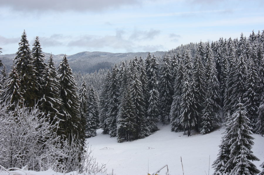 Pamporovo ski resort in Bulgaria