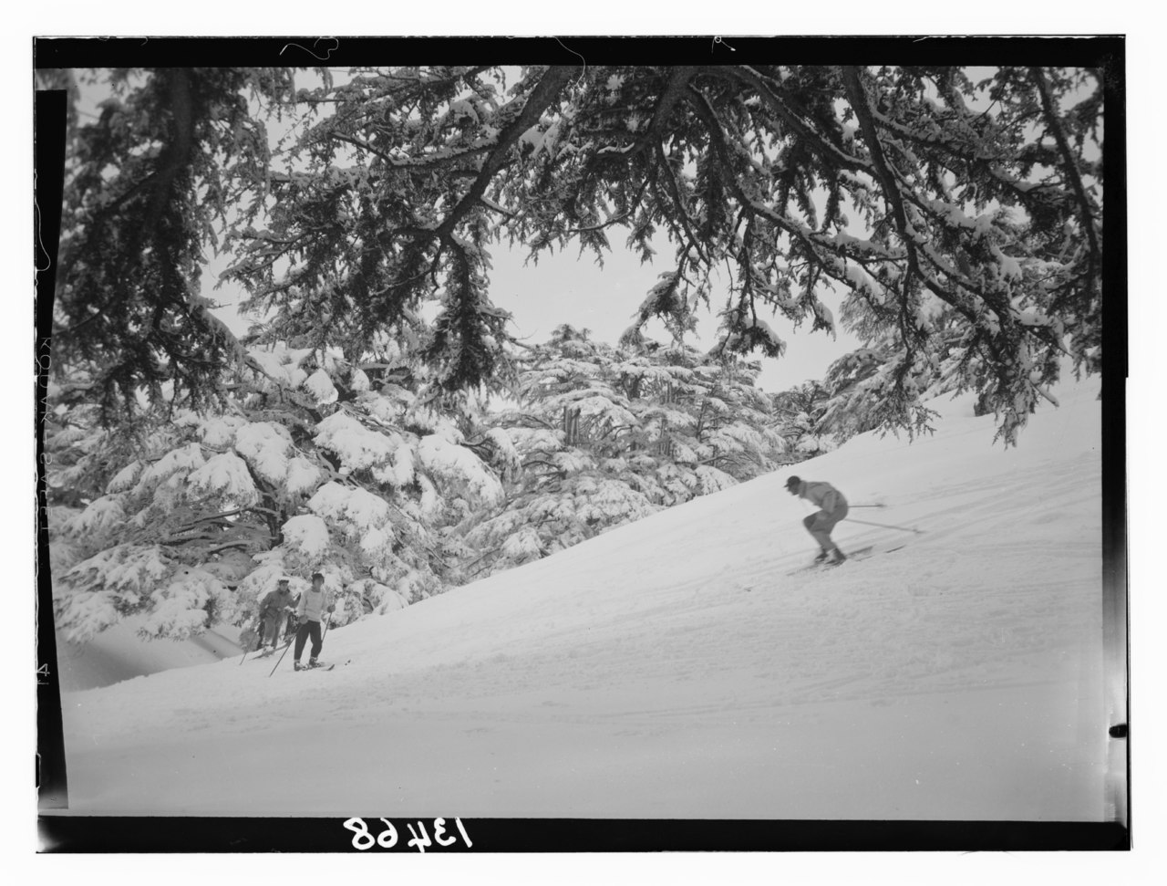 The Cedars ski resort in Lebanon